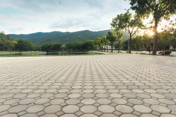 Best Concrete Paver Driveway  in Innotion, VA